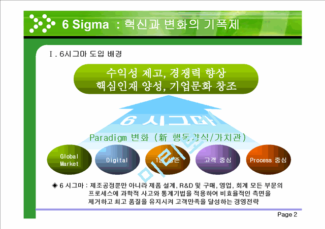6 Sigma : 혁신과 변화의 기폭제   (3 )